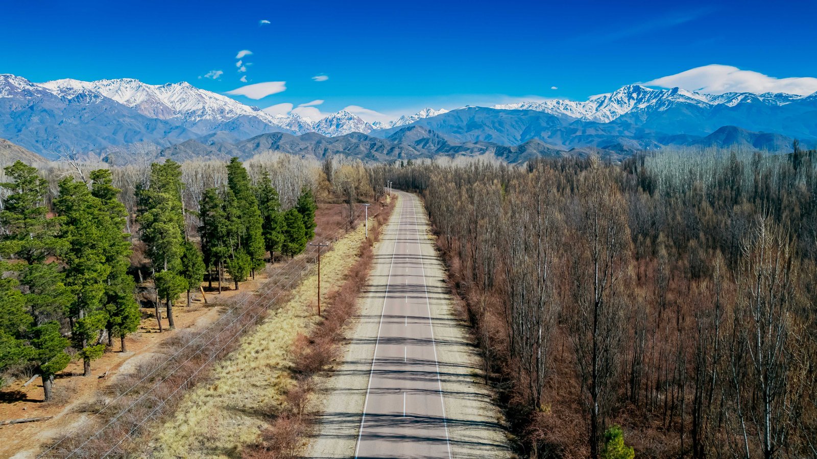 Foto de Rafael Hoyos Weht na Unsplash