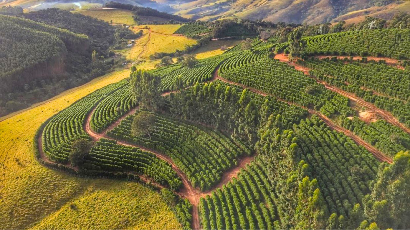 Rota do Café - Fonte Portal Turismo em Minas Gerais