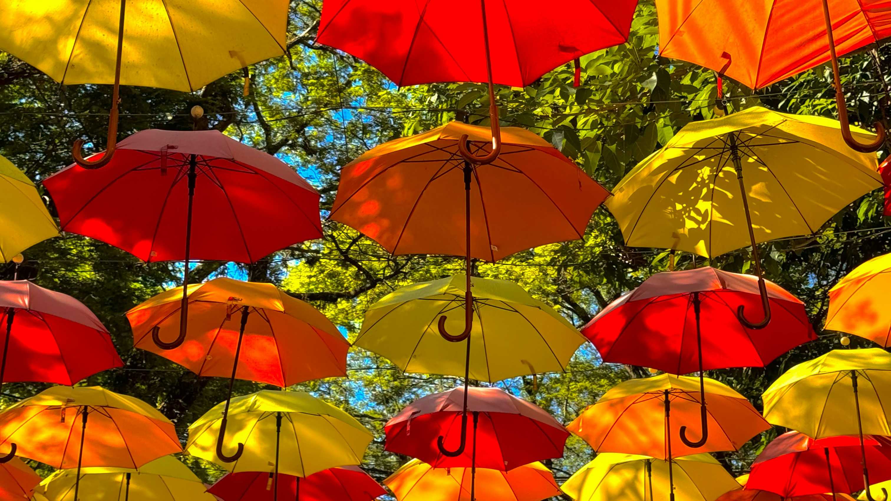 Foto de Henrique Malaguti na Unsplash